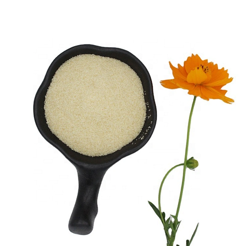 Hot sale High Viscosity Gelatin with Halal Certificate gelatin powder price